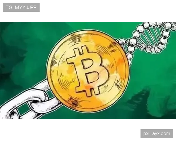 费耶未来规划引领新潮流,创新驱动行业变革引关注 费耶未来规划引领新潮流,创新驱动行业变革引关注