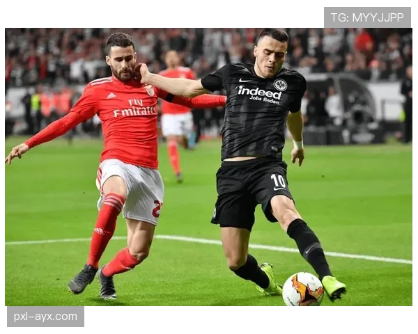 弗赖堡欧战表现稳健，德甲球队持续提升竞争力