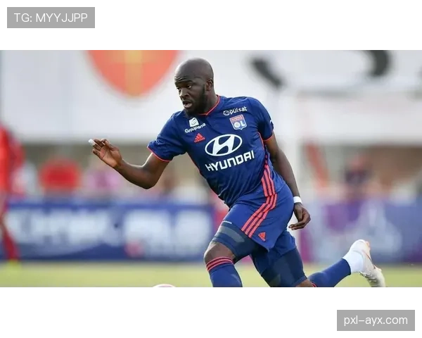 恩东贝莱教练评价