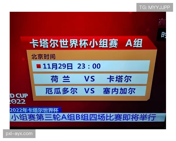 世界杯B组卡塔尔出线概率分析